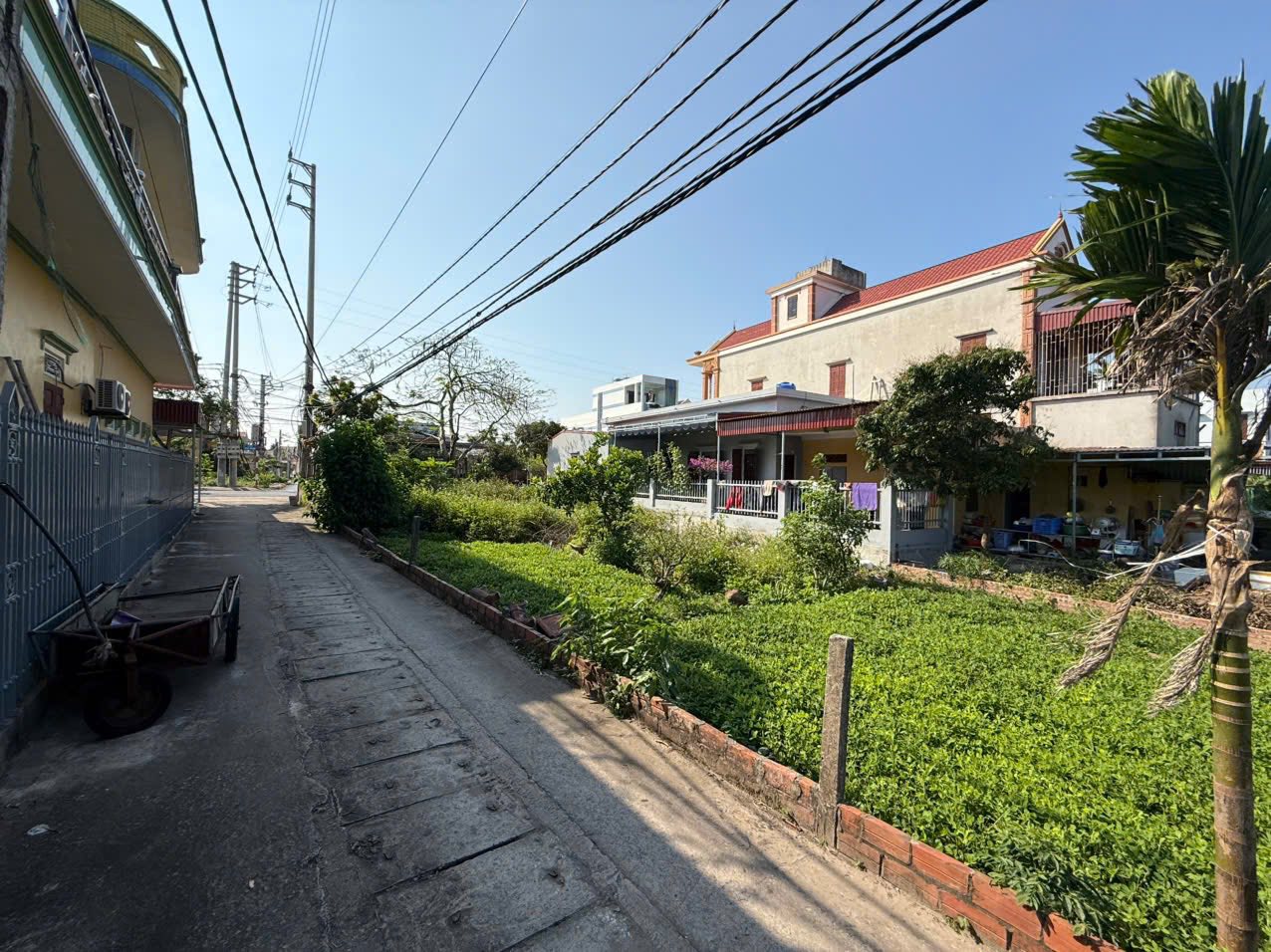 Đất nền Thị trấn Quất Lâm, Huyện Giao Thủy 2 tỷ – 100m² gần trục chính ra biển, tiện mở homestay – - Ảnh 3